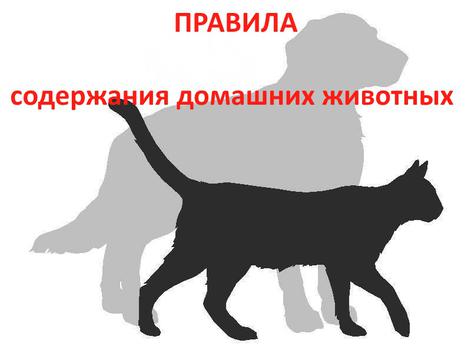 Изображение - Закон о животных в россии 2019 blobid1550695082784